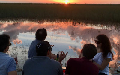 Why Book a Tour with Miami Everglades Connection?