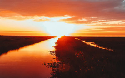 Everything You Need to Know About Taking a Sunset Everglades Tour