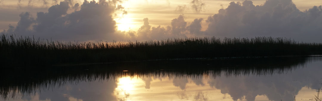 4 Great Reasons to Visit the Everglades This Summer